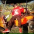 Seminole Prince