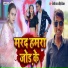Shilpi Raj, Rohit Diwana