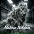 Mahesa Wildan