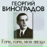 Георгий Виноградов