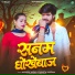 Aashish Yadav, Shweta Sargam