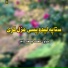 مولوی محمد جمعه ساجد