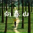 顾叮当