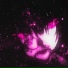 HXVSAGE, boneles s