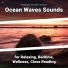 Shoreline Sounds, Nature Sounds, Ocean Sounds