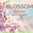 Ocean Animals