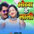 Amit Gond
