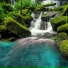 Nature Sounds Playlist 2022