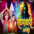 Ajit Halchal