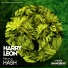 Harry Leon
