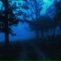 pale horizon