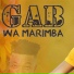 Gab wa Marimba feat. Dj MaEvo