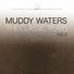 Muddy Waters