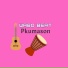 PKUMASON