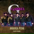 Grupo Gabbel