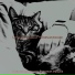 Музыка для кошек Фоновая музыка