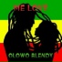 OLOWO BLENDY