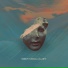 Dorcy