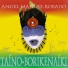 Angel Manuel Rosado