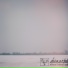 The Flashbulb