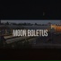 Moon Boletus