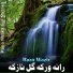 Raza Wazir