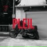 Pleil