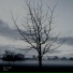 Bitvert