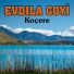 Evdıla Goyi