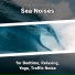 New Age, Ocean Sounds, Nature Sounds