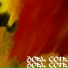 joel cote