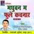 Narayan Singh Sindram, Deepa Baghel