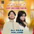 Ali Raza Malangi