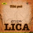Grupa LICA