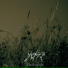 Austere-To Lay Like Old Ashes(2009)