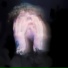 Angelnocry