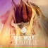 Kry Wolf Vs B.Benassi