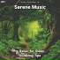 Sleep Music, Relaxing Spa Music, Yoga