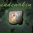 Indenakin