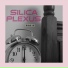 Silica Plexus