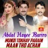 Abdul Hayee Buriro