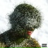 Acidfrank, Abdel