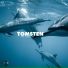 Tomsten