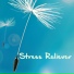 Stress Relief