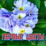 Сергей Грищук