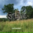 Silachi