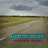 Assimilation