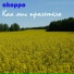 akoppo