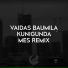 vaidas baumila, MES