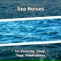 New Age, Ocean Sounds, Nature Sounds